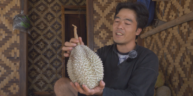 Duren Hasil Hutan Pedalaman Baduy