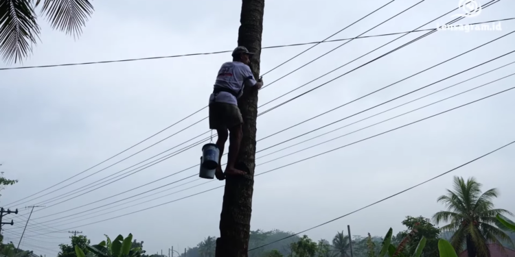 Ahli Sadap Menyadap yang berkurang pendapatannya, bukan karena KPK atau Penegak Hukum!