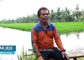 Bertani Dengan Air Laut