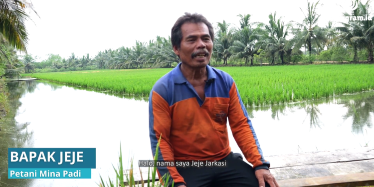 Bertani Dengan Air Laut