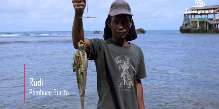 Petualangan Berisiko Pemburu Gurita Hingga Menemui Ikan Paling Beracun di Dunia