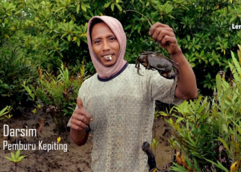 Penghasilan Yang Tidak Menentu Walau Bermandikan Lumpur Bakau