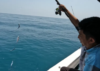 Pukat Harimau Membunuh Nelayan Kecil