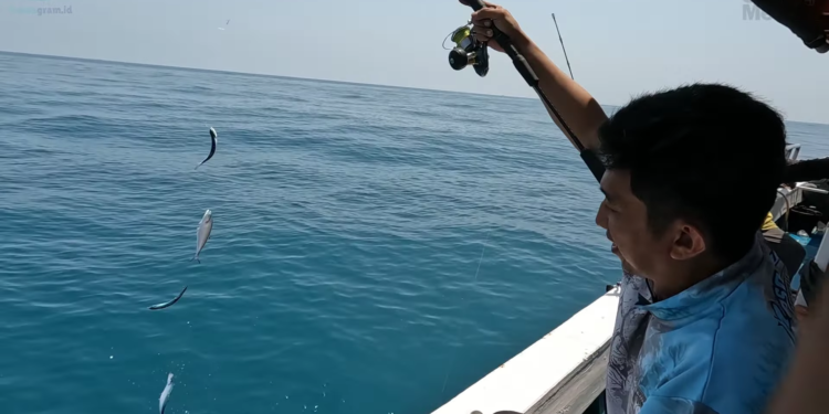 Pukat Harimau Membunuh Nelayan Kecil