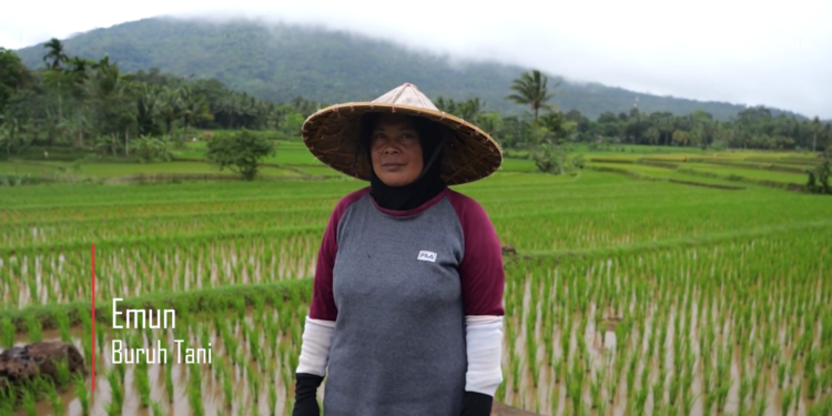 Dampak Meluasnya Pembangunan Lahan Rumah, Ini Nasib Buruh Tani Sekarang