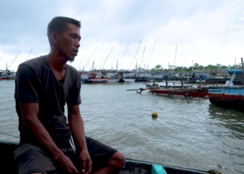 Penurunan Drastis Hasil Panen Ikan Teri, Dampak Dari Kenaikan BBM