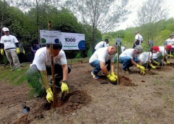 Kolaborasi Tanam 1000 Pohon