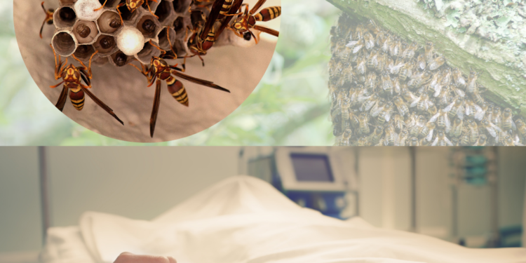 Meninggal Usai Disengat Tawon