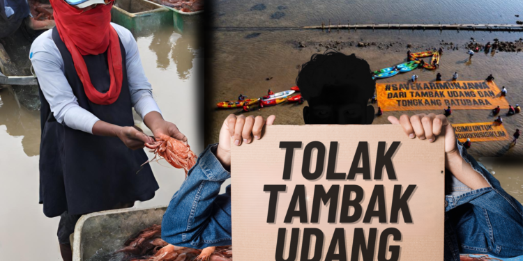 Tambak Udang