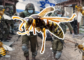 Lebah Serang Tentara Israel