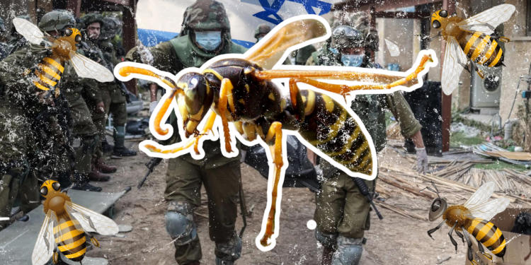 Lebah Serang Tentara Israel