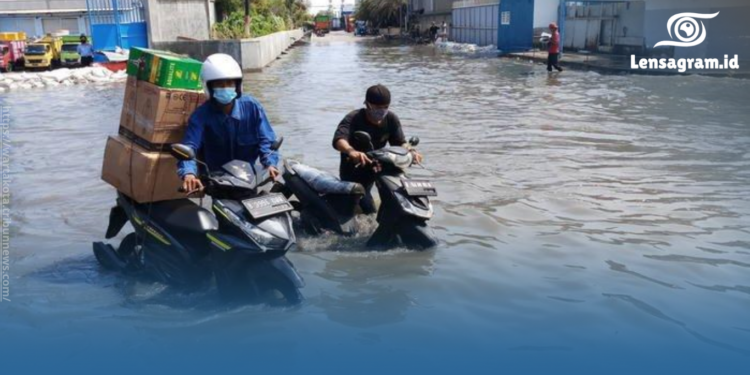 gambar Banjir Rob Tak Kunjung Surut di Muara Angke: Ini Penyebab dan Langkah Antisipasi Pemprov DKI