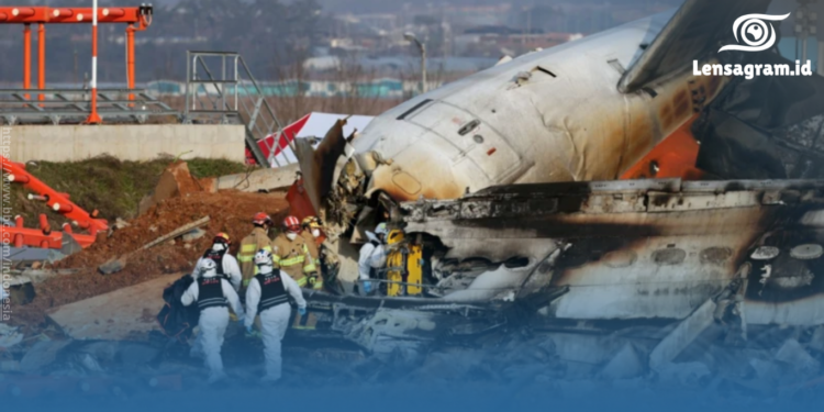 gambar Pesawat Jeju Air Jatuh di Bandara Muan, Tewaskan 179 Orang