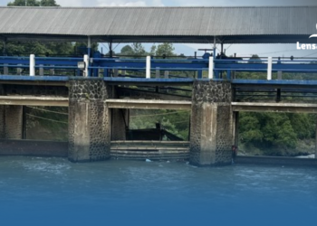 gambar Viral! Petugas RPHB Kapuk Evakuasi Babi Saat Banjir, Aksinya Tuai Perhatian