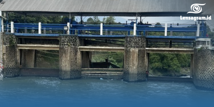 gambar Viral! Petugas RPHB Kapuk Evakuasi Babi Saat Banjir, Aksinya Tuai Perhatian