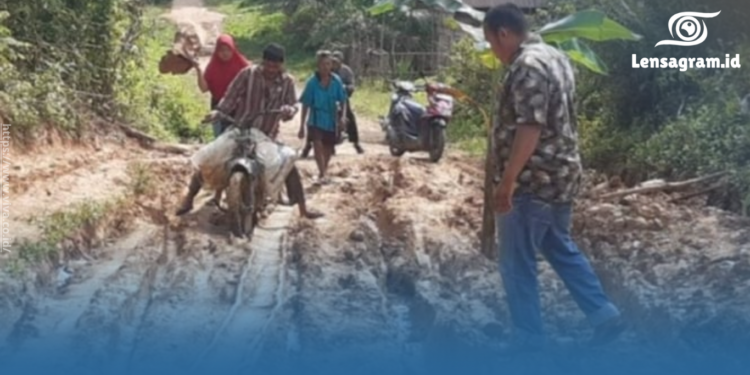 gambar Pemkab Bungo Siap Perbaiki Jalan Rusak yang Viral di Media Sosial