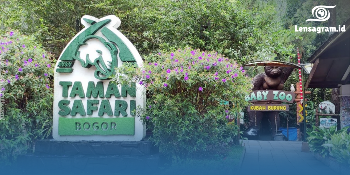 gambar Viral! Kunjungi Taman Safari Bogor Nekat Keluar Mobil di Area Satwa, Manajemen Angkat Bicara