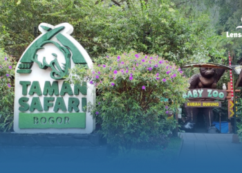 gambar Viral! Kunjungi Taman Safari Bogor Nekat Keluar Mobil di Area Satwa, Manajemen Angkat Bicara