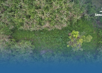 Ladang Ganja di TNBTS Sebabkan Kerusakan Ekosistem, Hakim Beri Ultimatum