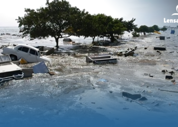 Indonesia Siaga! Peta Baru Tsunami Bocor, 5 Provinsi Masuk Zona Merah
