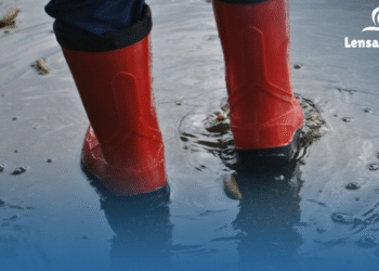 Jakarta Akhirnya Bernapas Lega, Ini Kondisi Terbaru Usai Banjir Surut