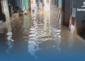 Bukan Sekadar Hujan! Fakta di Balik Banjir Jakarta yang Rendam 12 RT