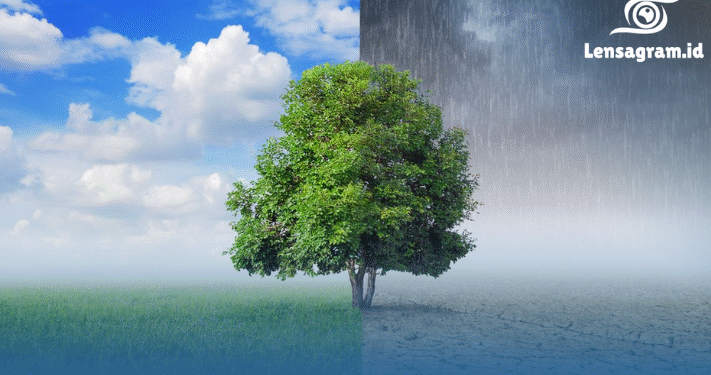 Kenapa Cuaca Jakarta Makin Tak Menentu? Fakta Pancaroba Ini Bikin Kaget!