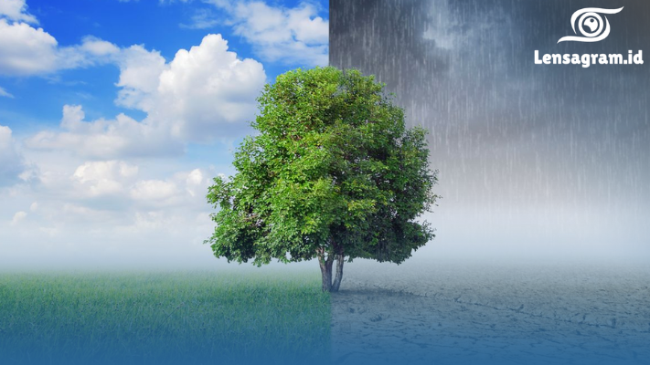 Kenapa Cuaca Jakarta Makin Tak Menentu? Fakta Pancaroba Ini Bikin Kaget!