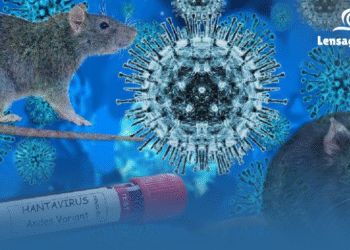 Tikus Bisa Sebabkan Penyakit Mematikan? Fakta Hantavirus Ini Bikin Merinding