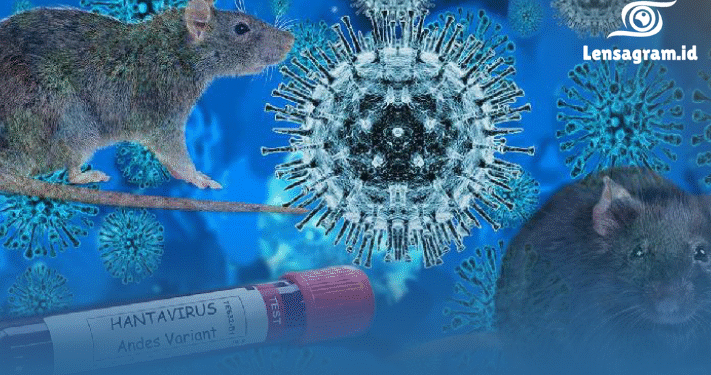 Tikus Bisa Sebabkan Penyakit Mematikan? Fakta Hantavirus Ini Bikin Merinding