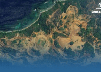 Tambang Nikel di Teluk Buli Jadi Sorotan, Pakar IPB Ungkap Ancaman yang Jarang Disadari Publik