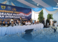 X-ray Tunjukkan Kejanggalan, Gudang 3,37 Ton Ganja Langsung Digerebek! Ini Penjelasan Dirjen Bea Cukai